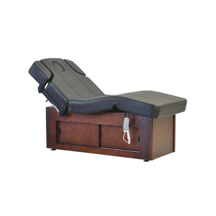 Raman Electric Spa Massage Table